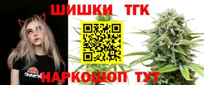 стафф Заводоуковск