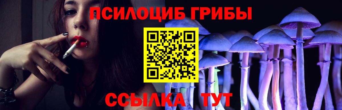 Псилоцибиновые грибы мицелий  Вход с VPN  Североуральск 